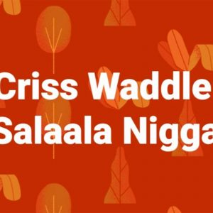 Salala Niggas by Criss Waddle