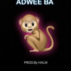 Adwee Ba by Medikal