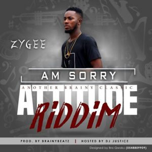 Am Sorry by Zygee