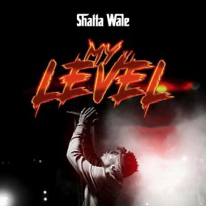 My Level by Shatta Wale