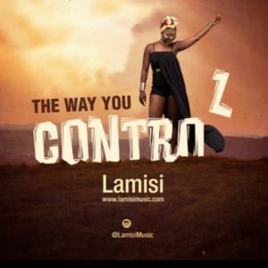 The Way You Control by Lamisi