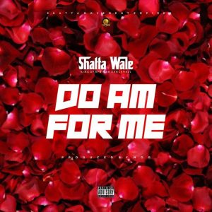 Do Am For Me by Shatta Wale