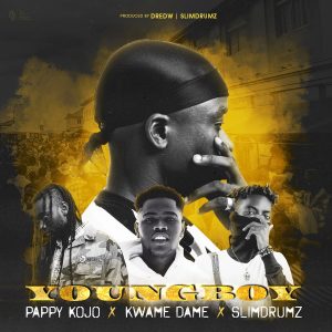 Young Boy by DredW feat. Pappy Kojo, Kwame Dame & SlimDrumz