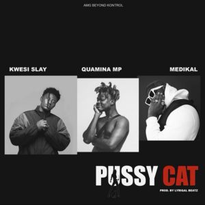 Pussy Cat by Kwesi Slay feat. Quamina MP & Medikal