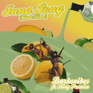 Inna Song (Gin & Lime) by Darkovibes feat. King Promise