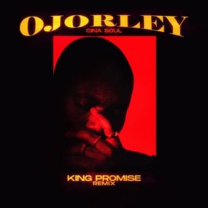 Ojorley Remix (Cina Soul) by King Promise