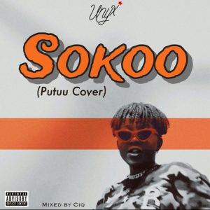 Sokoo (Putuu Cover) by Unyx