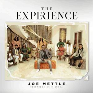 The Experience by Joe Mettle