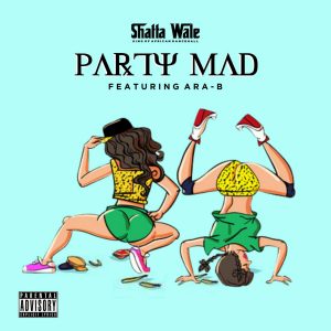 Party Mad by Shatta Wale feat. Ara-B