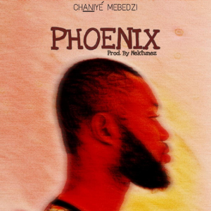 Phoenix by Abladzo Kwame