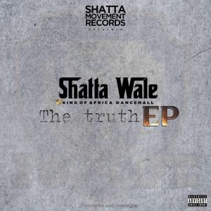 The Truth by Shatta Wale