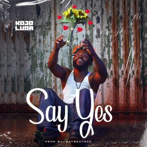 Say Yes by Kojo Luda