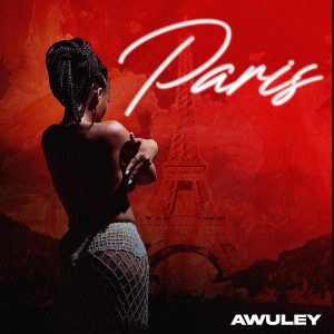 Paris by Awuley