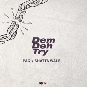 Dem Deh Try by PAQ feat. Shatta Wale
