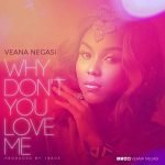 Why Don't You Love Me by Veana Negasi