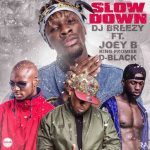 Slow Down by DJ Breezy feat. King Promise, Joey B & D-Black