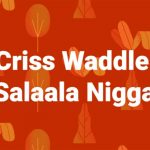 Salala Niggas by Criss Waddle