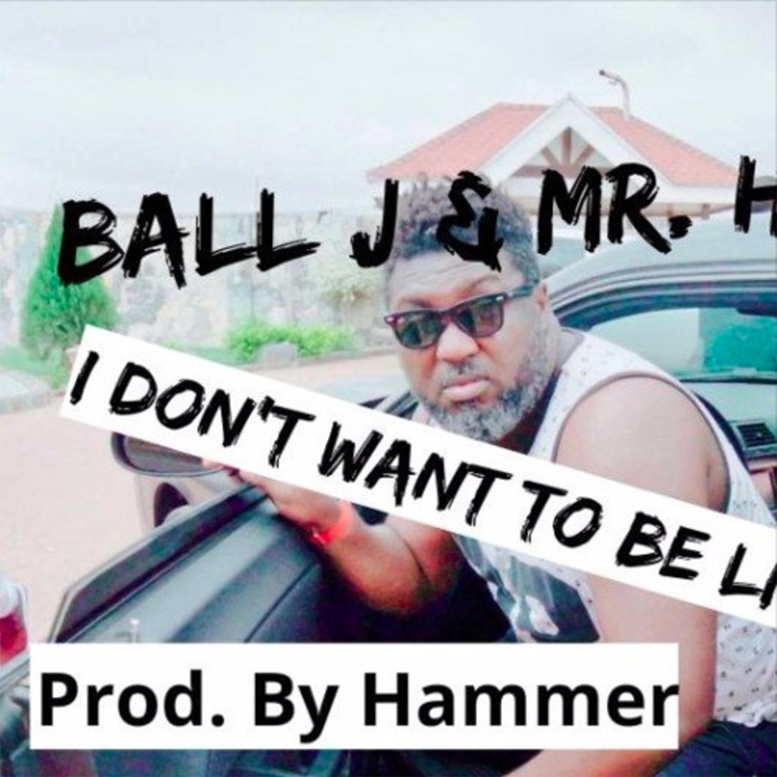 I Don't Want To Be Like Them by Ball J