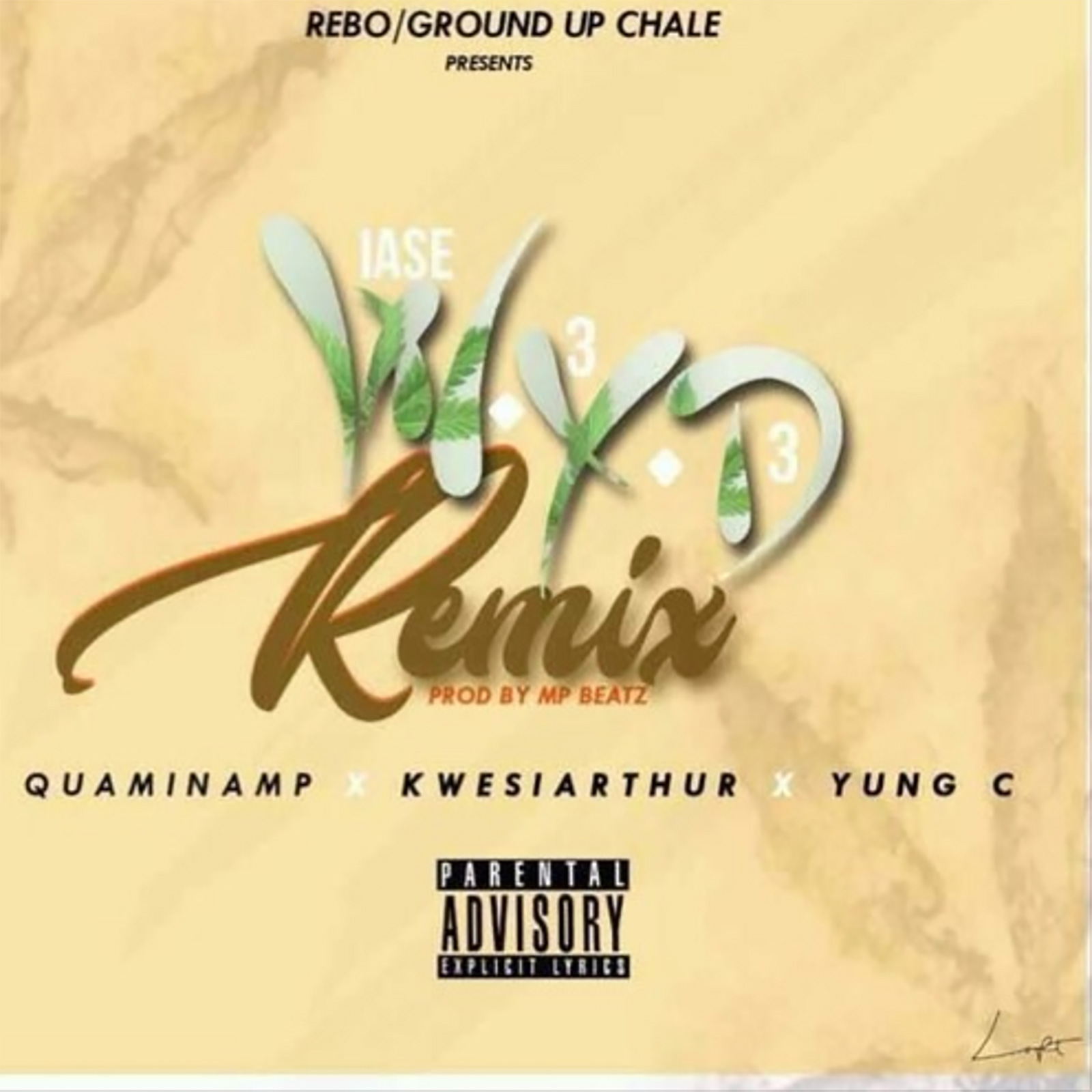 WYD by Quamina Mp feat. Kwesi Arthur & Yung C