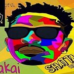 Shatta Wale - Kakai