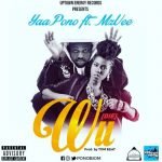 Wu (Die) by Yaa Pono feat. Mzvee