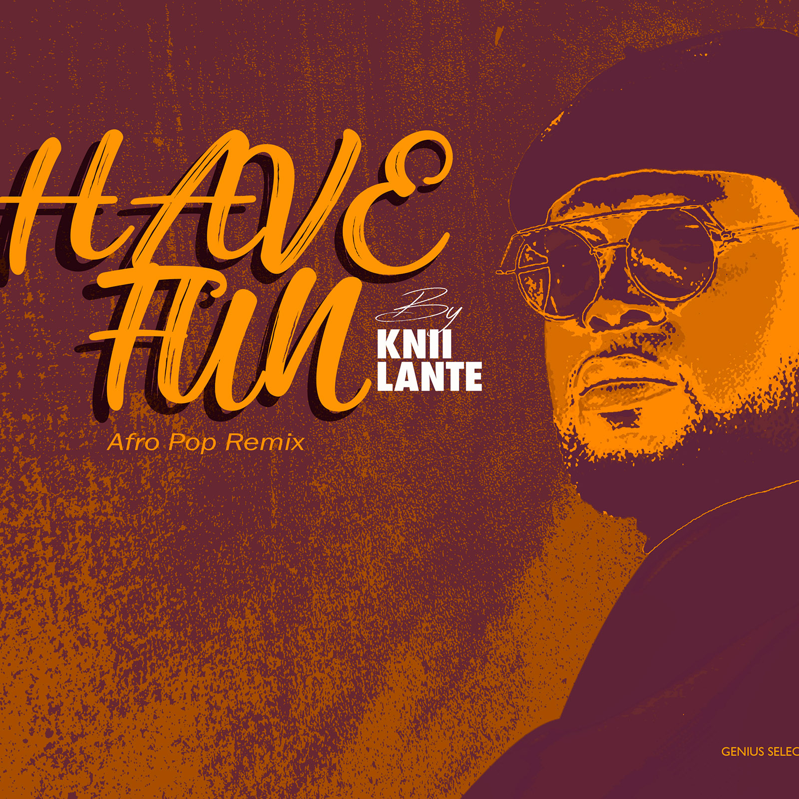 Have Fun (Afro Pop Remix) by Knii Lante