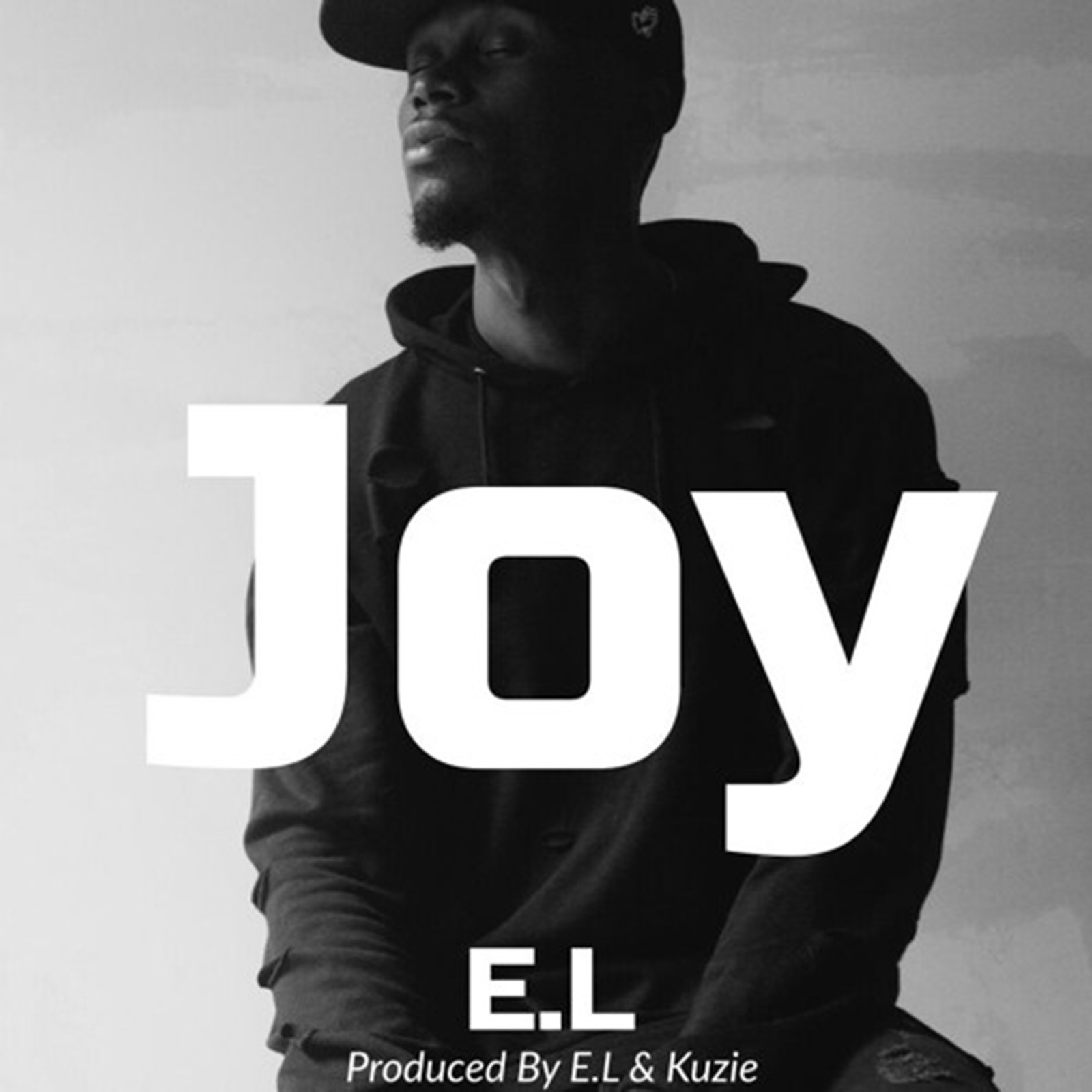 Joy by E.L