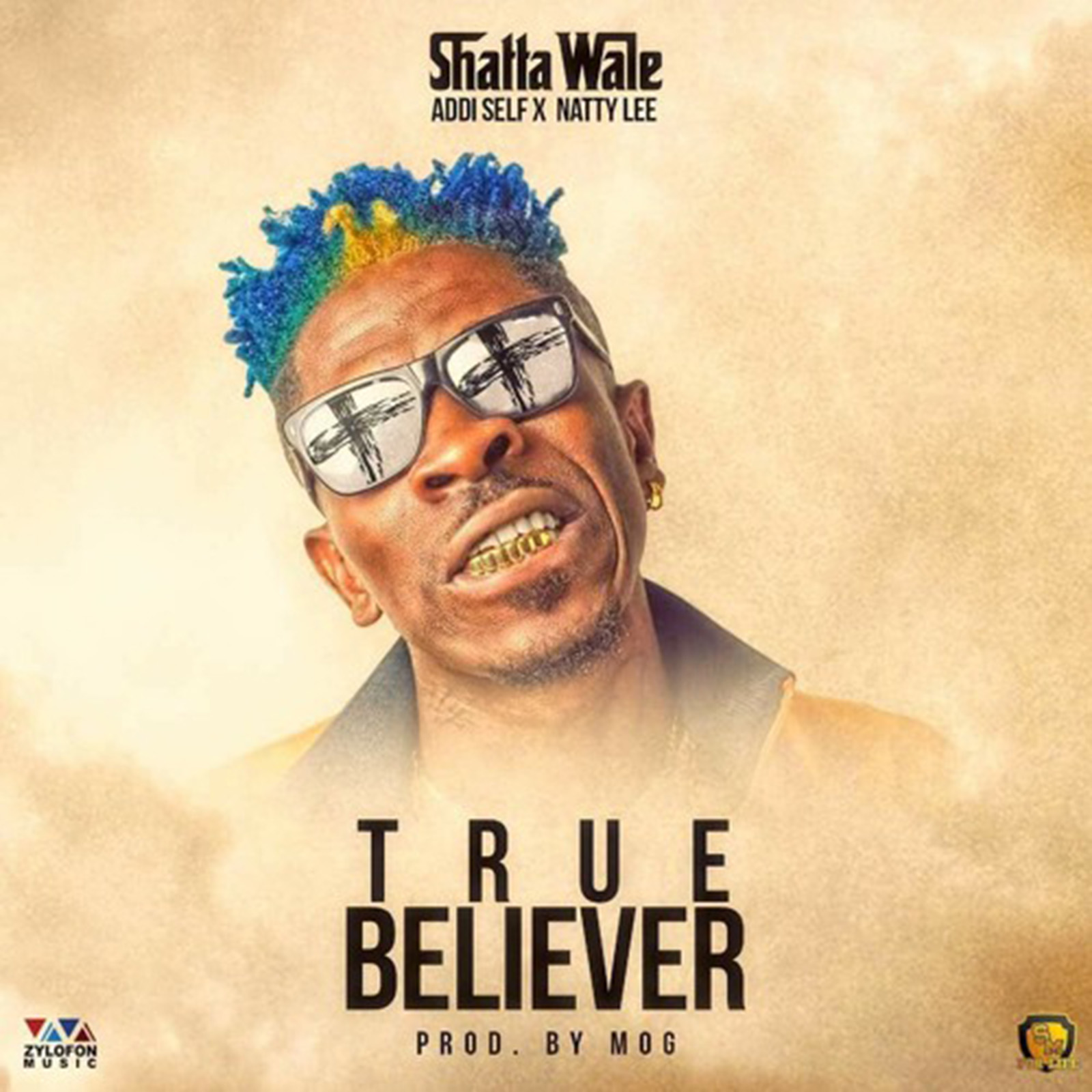 True Believer by Shatta Wale feat. Addi Self & Natty Lee