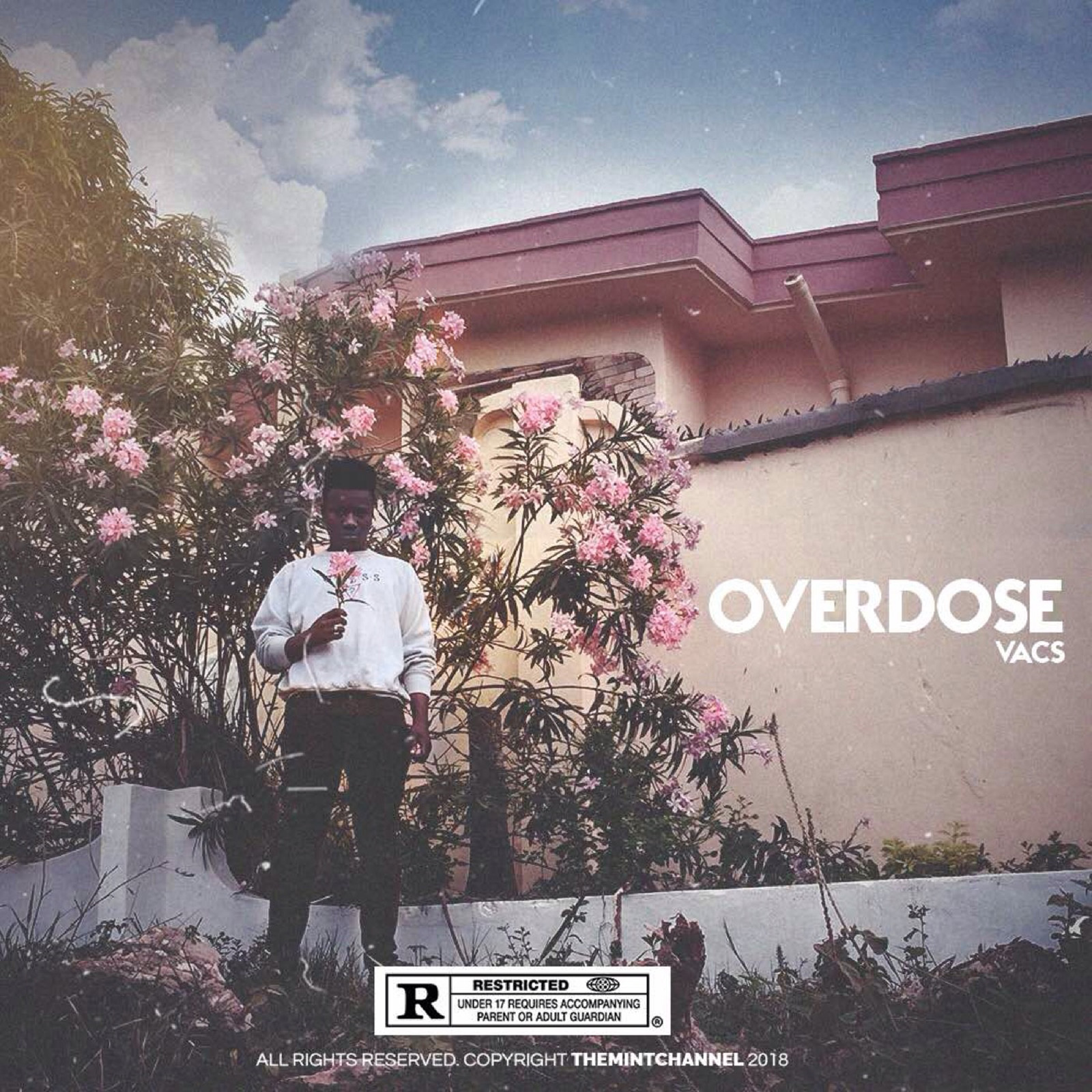 Overdose by Vacs