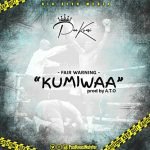 Kumiwaa (Kumi Guitar Diss) by Paa Kwasi
