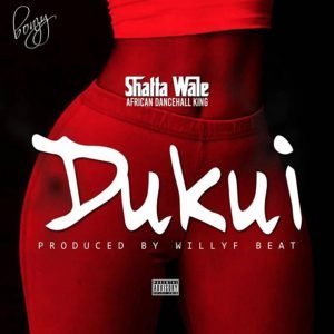 Dukui by Shatta Wale