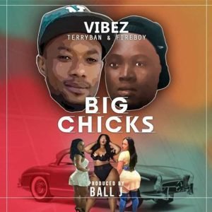 Big Chicks by Vibez
