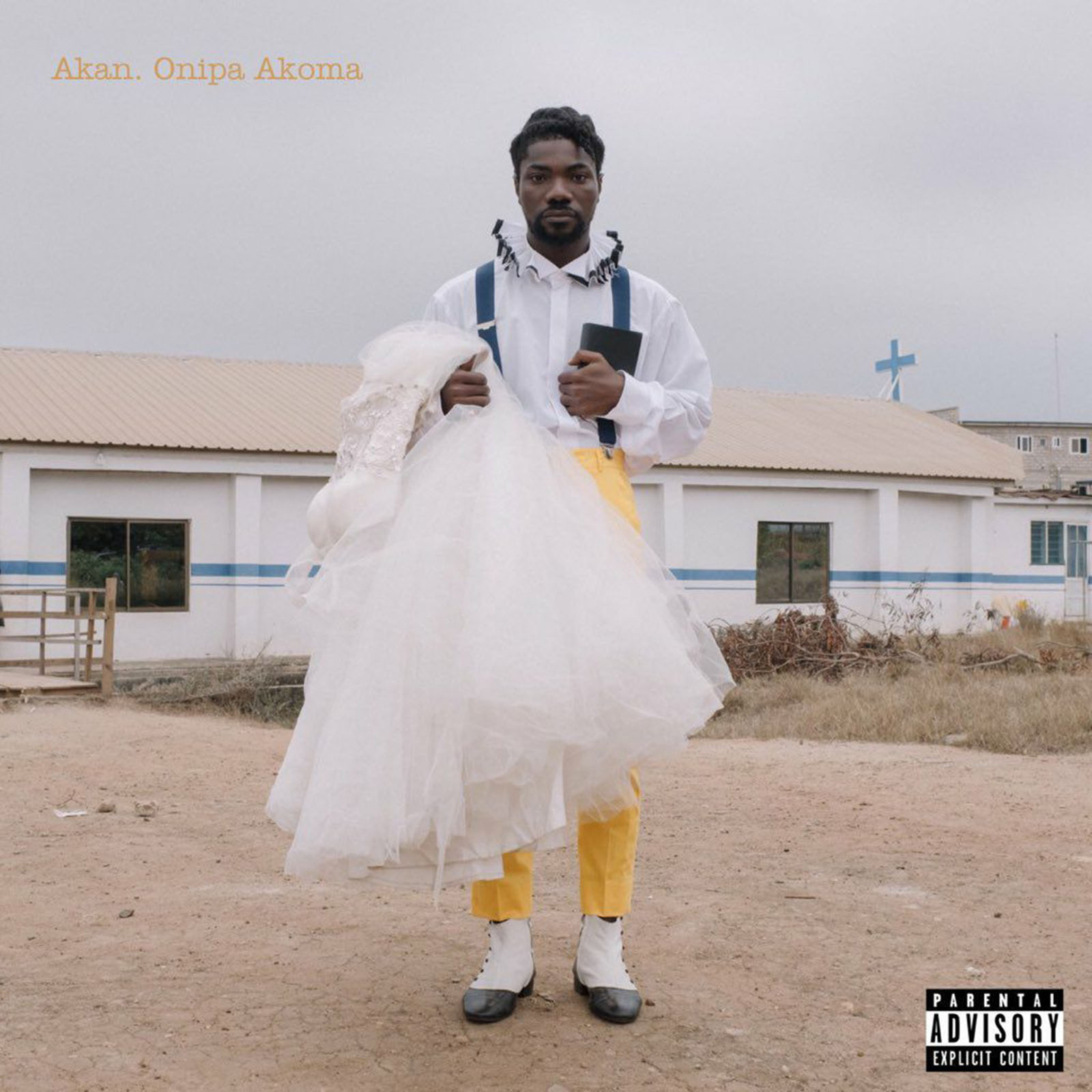 Onipa Akoma Album by Akan