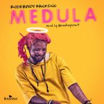 Medula by Rudebwoy Ranking