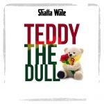 Teddy The Doll by Shatta Wale