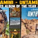 Samini's Untamed takes first place for top albums of 2018