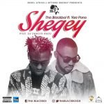 Shegey by Tha Blackboi feat. Yaa Pono