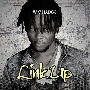 Link Up by W.C Hadgi