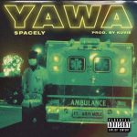 Yawa by $pacely feat. Kofi Mole