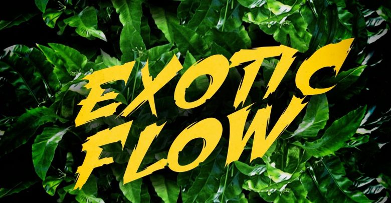 Exotic Flow by Omar Sterling