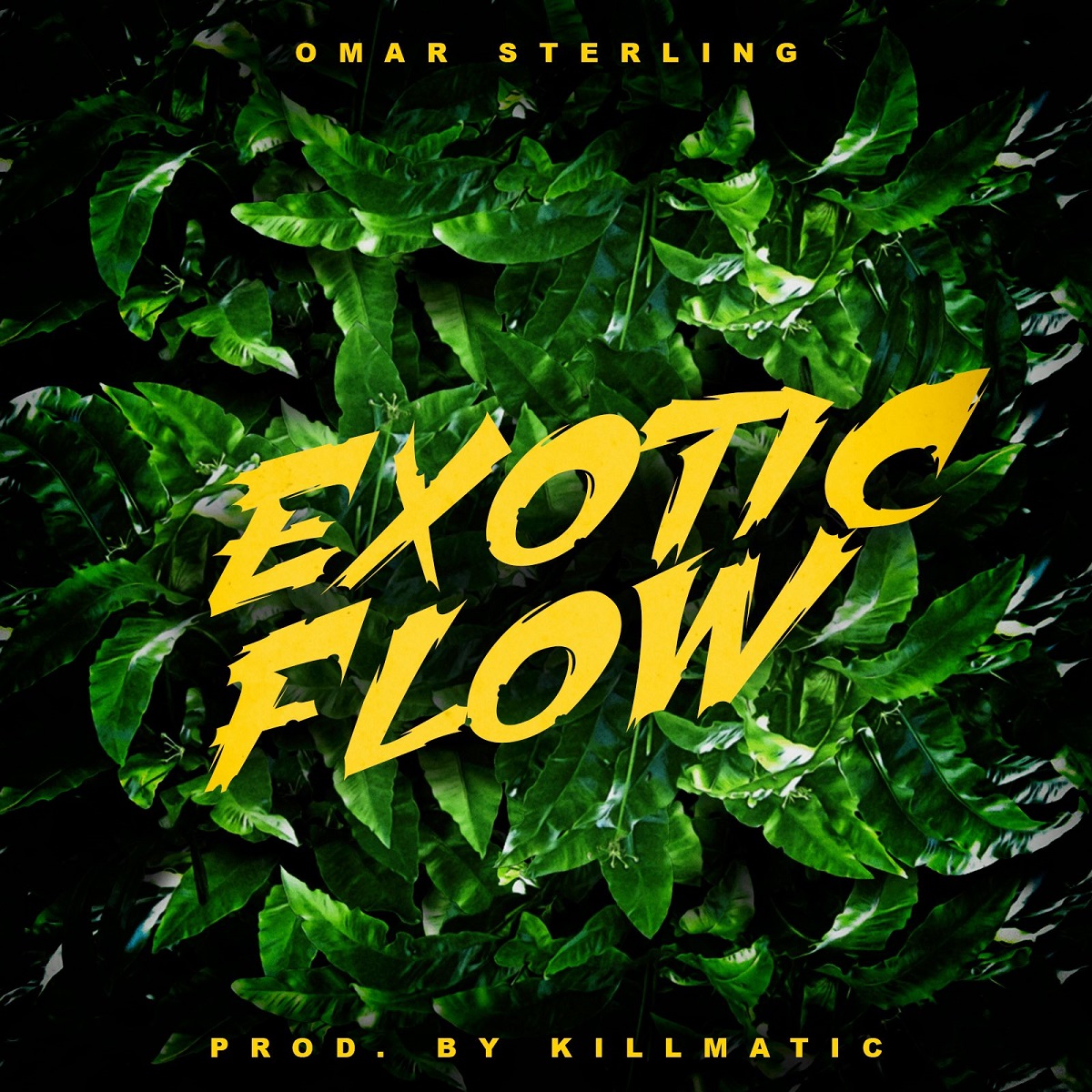 Exotic Flow by Omar Sterling