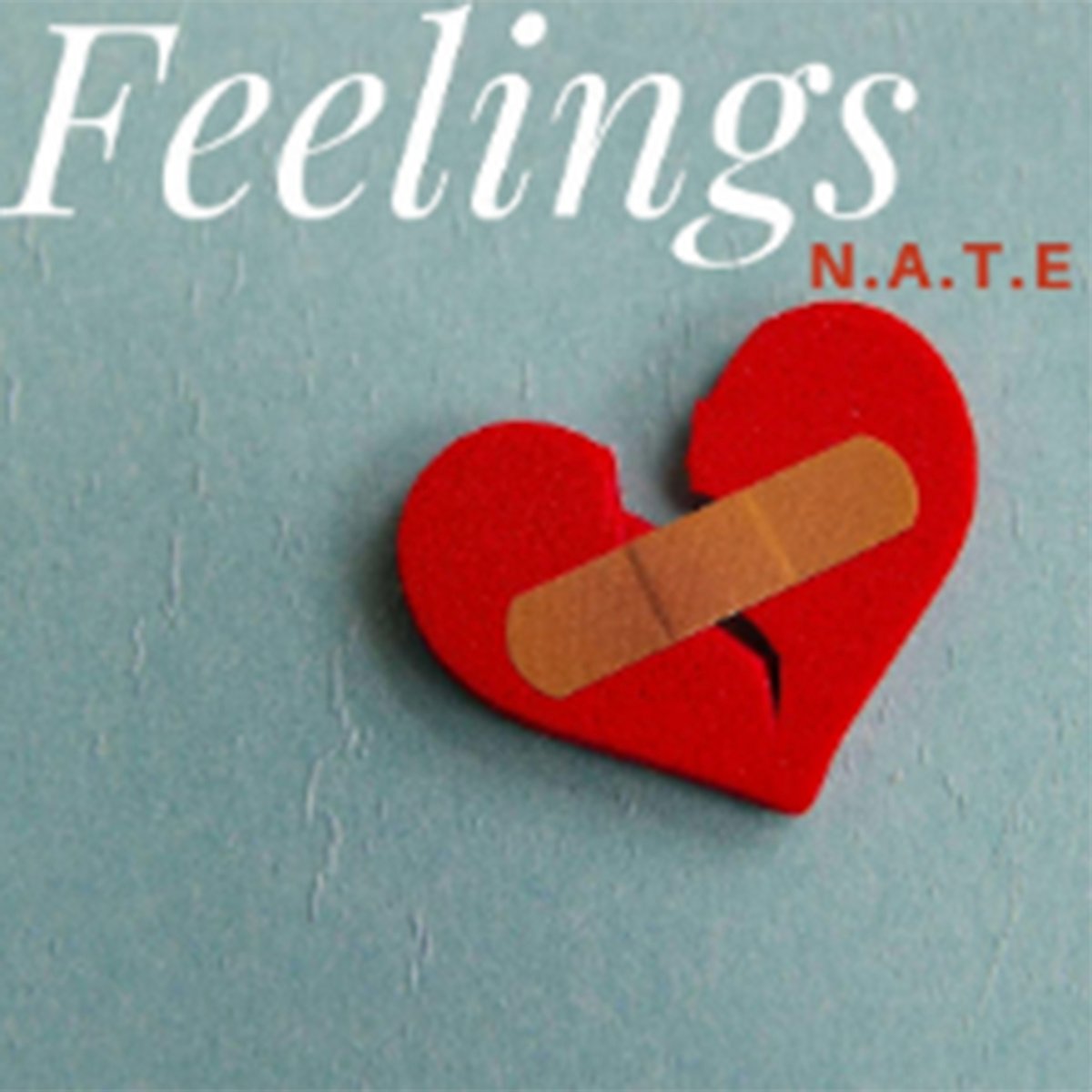 Feelings by N.A.T.E
