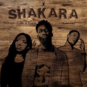 Shakara by McBriggs feat. Kelvin Mo & Gyakie