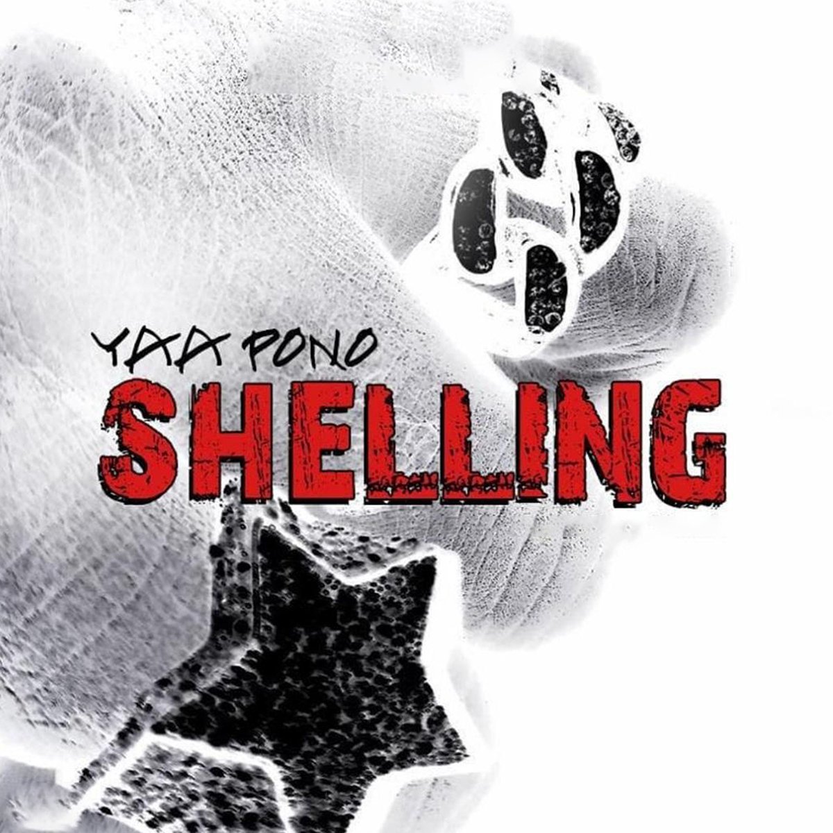 Shelling by Yaa Pono