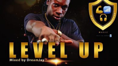 Level Up by Lord Fargo