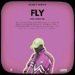 Fly by Boorle Minick