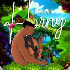 Horny by Shatta Wale