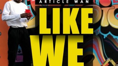 Like We by Article Wan