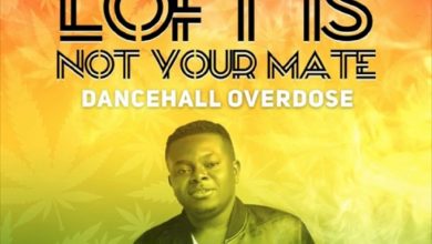 LOFT IS NOT YOUR MATE - The Dancehall Overdose Mix by DJ Loft