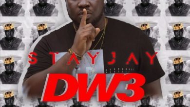 Dw3 by Stay Jay